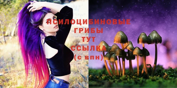 винт Баксан